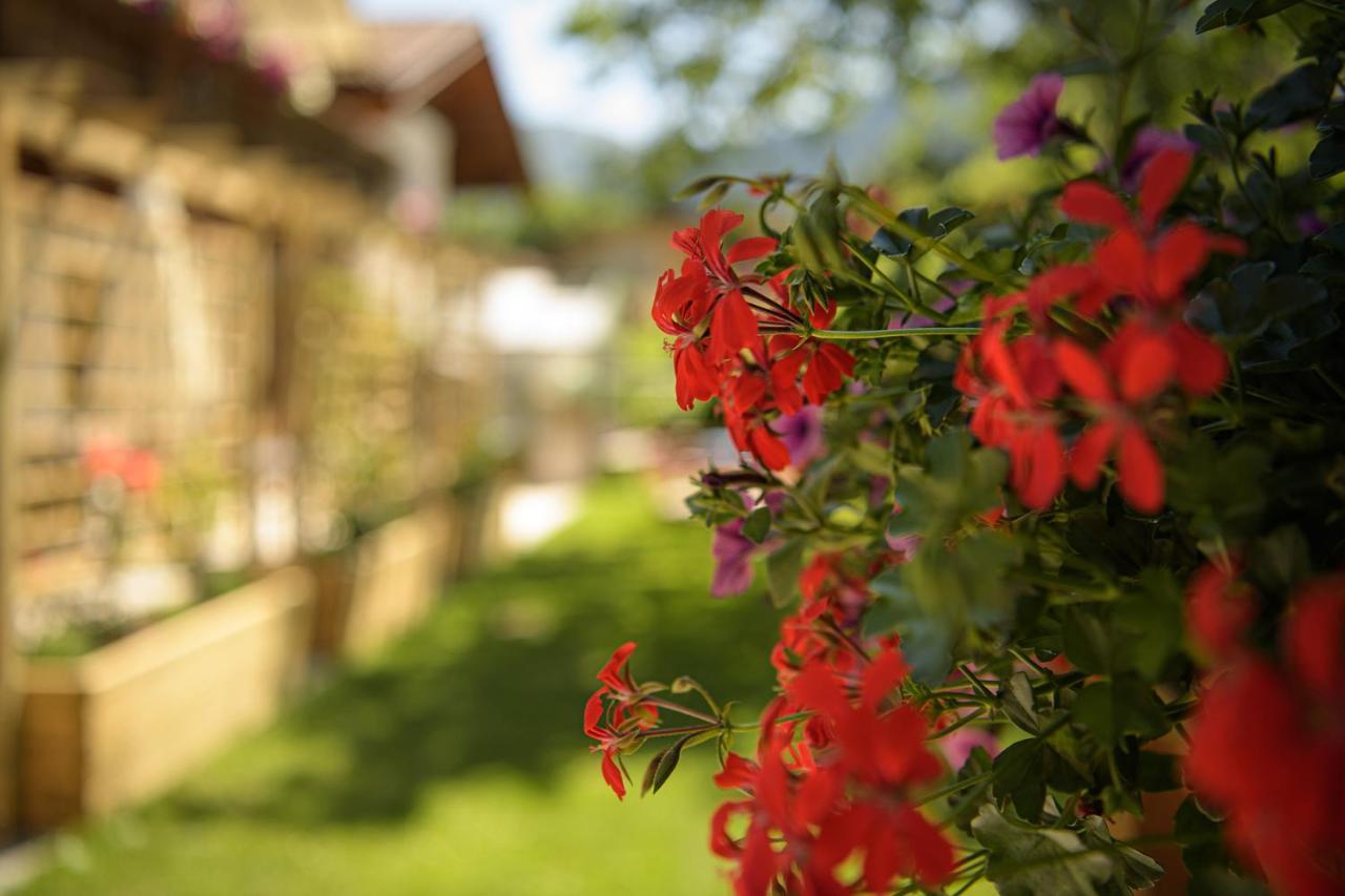 Alpen-Nest Grossarl Apartment Exterior photo